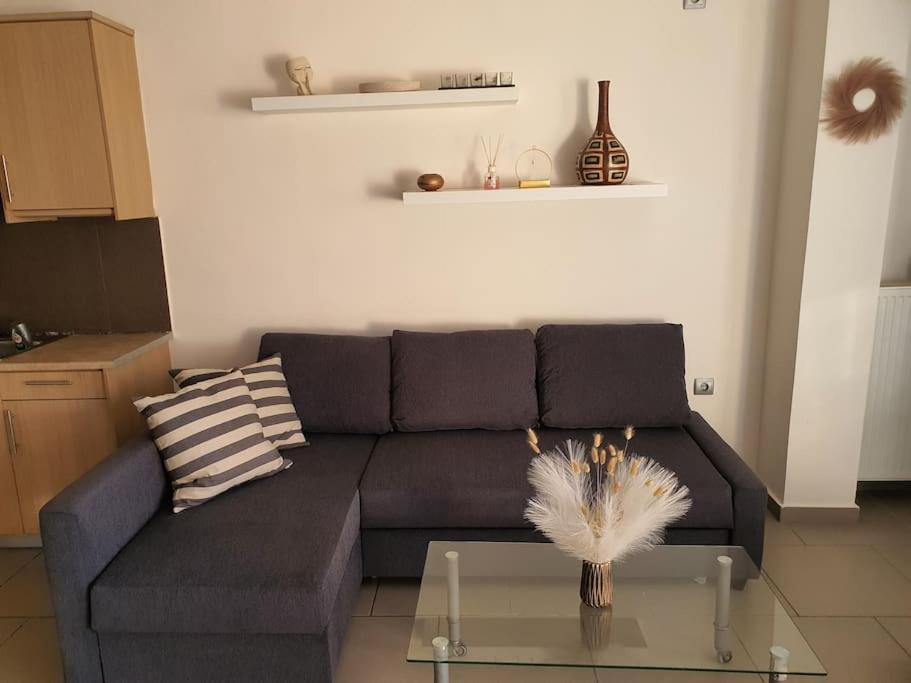 Korais Apartment, Chania Crete Kounoupidhianá エクステリア 写真